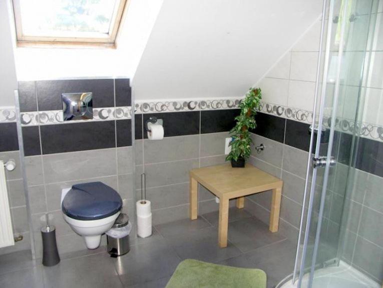 Pension Daberg Hotel Harrachov Bagian luar foto