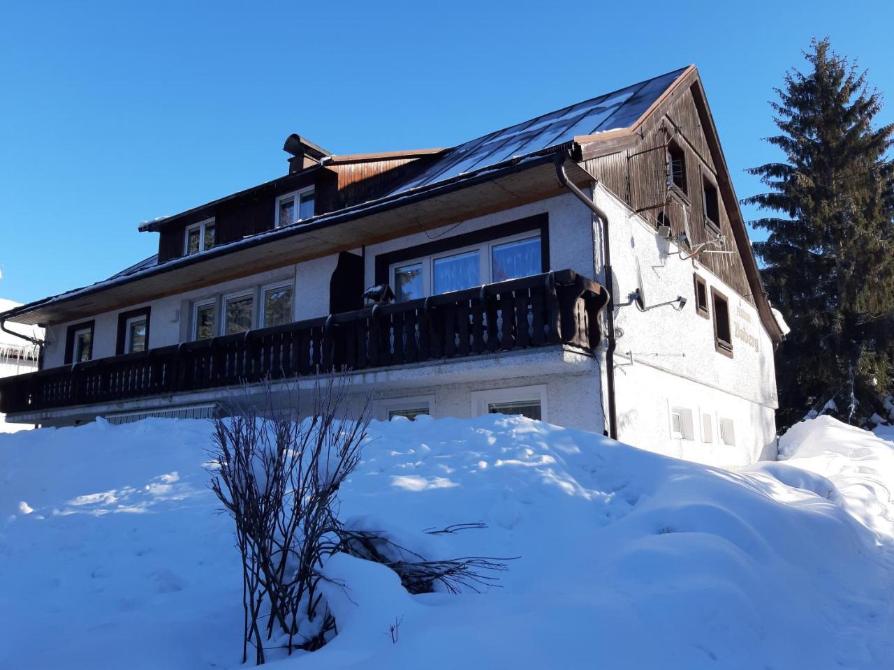 Pension Daberg Hotel Harrachov Bagian luar foto